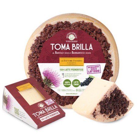 CASEIFICIO FIANDINO TOMA BRILLA ημισκληρο τυρί με κρασί Barolo και Barbaresso 2,5kg